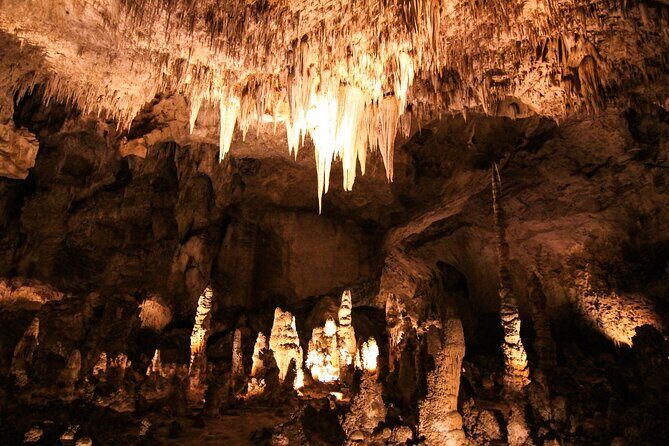 Carlsbad Caverns Self-Guided Walking Tour (Not a ticket) - Final Thoughts