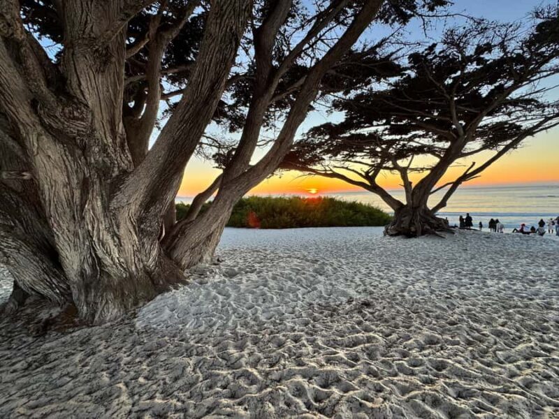 Carmel-by-the-Sea: Guided Food Tour with 5 Authentic Dishes - Who Will Love This Tour?