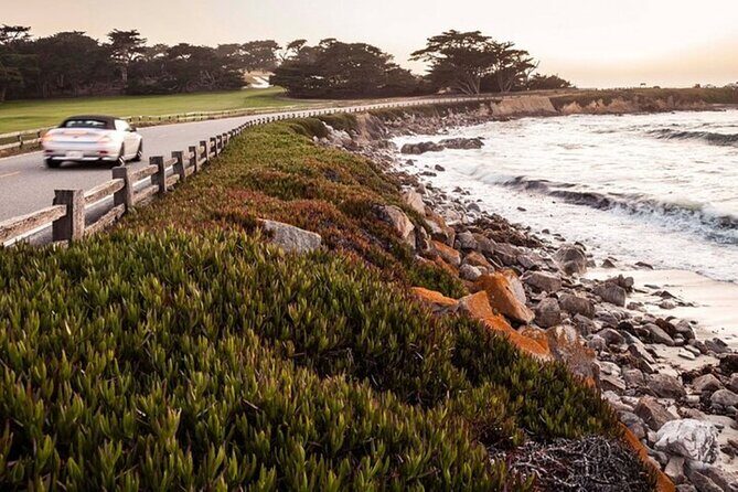 Carmel Drive Tour - The Sum Up: Is the Carmel Drive Tour Worth It?