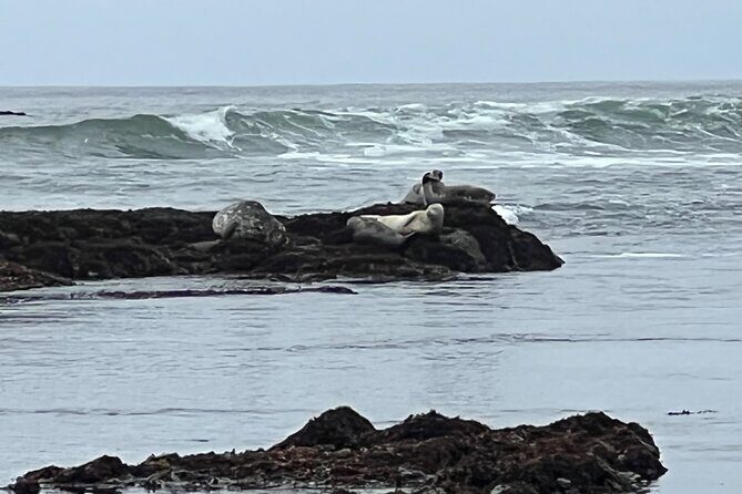 Carmel, Monterey and Big Sur Tour Private Tour from San Francisco - FAQ