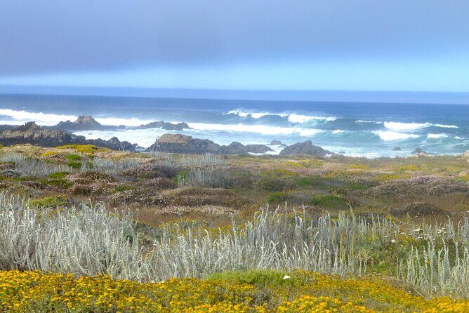 Carmel Tour in The Heavenly 17 Mile Drive - Key Points