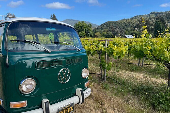 Carmel Valley Wine Tour in a Vintage VW Bus - Carmel Valley Wine Tour in a Vintage VW Bus: A Unique Blend of Scenic Beauty and Local Flavors