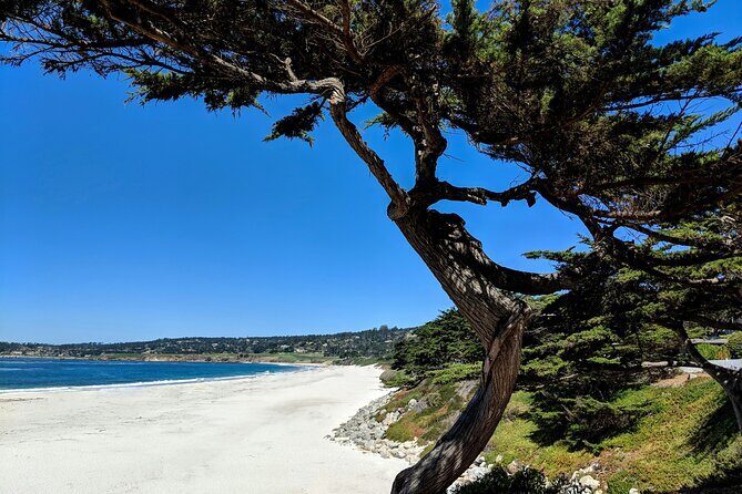 Carmels Hidden Gems Discovery Walk & Self-Guided Tour - Final Thoughts: Who Will Love This Tour?