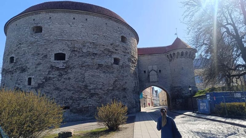 Carnivals, Punishments, Epidemics in Medieval Tallinn - A Deeper Look at the Medieval World of Tallinn