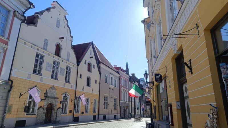 Carnivals, Punishments, Epidemics in Medieval Tallinn - Frequently Asked Questions