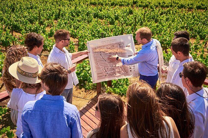 Carob, Vineyard Houses of the Forest and Museum Neruda Isla Negra - Practical Details and Value