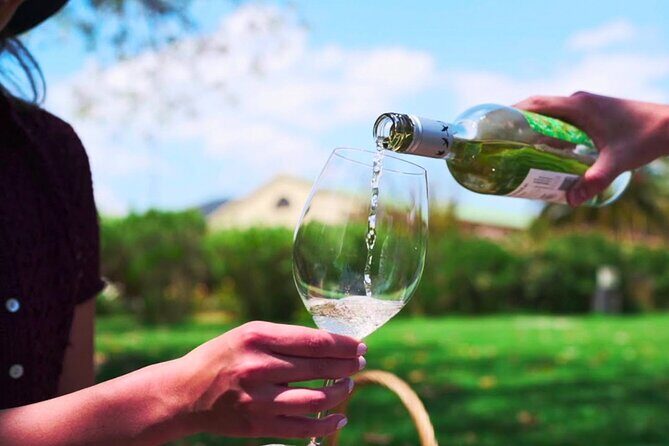 Carob, Vineyard Houses of the Forest and Museum Neruda Isla Negra - Frequently Asked Questions