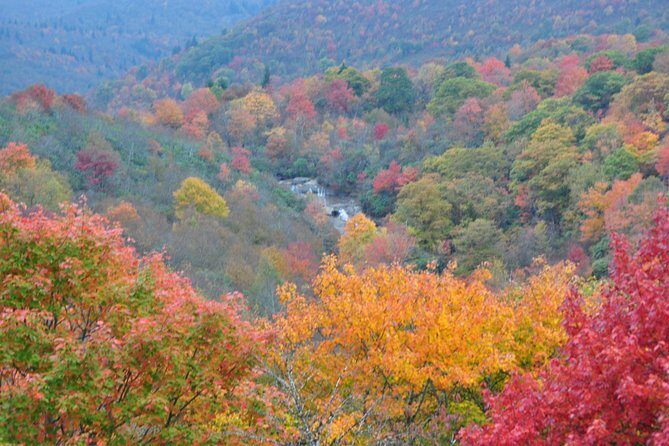 Carolina Waterfalls and Highlands Private VIP Boutique Tour - FAQ