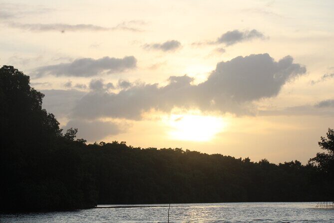 Caroni Bird Sanctuary Tour - The Final Word: Is It Worth It?