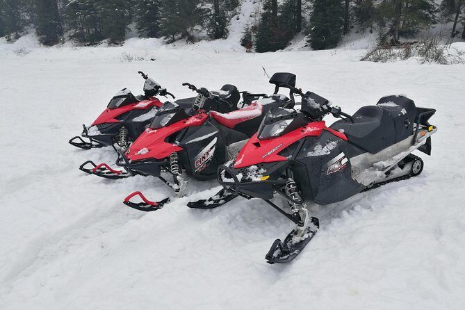 Carpathian mountains Snowmobile, ATV or Buggy tour in one day - From the Guides’ Perspectives to Real Travelers’ Experiences