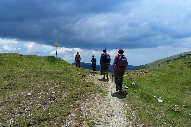 Carpathians in Romania: Bucegi Natural Park with native Spanish guide. - FAQ