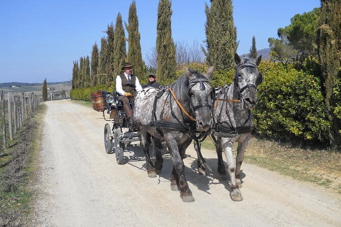 Carriage ride and Lunch in a typical restaurant in the heart of Chianti - An Enchanting Day in Chianti: Carriage Ride and Tuscan Lunch