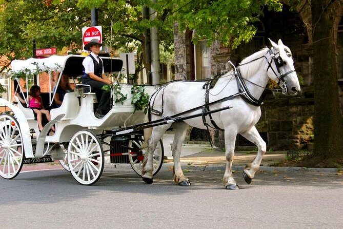 Carriage Ride in Central Park (VIP - PRIVATE) Since 1964 - The Sum Up: Who Will Love This Experience?
