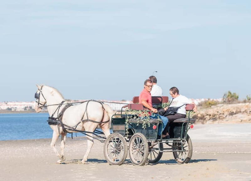 CARRIAGE Ride On The Beach (Rosário Beach) - A Detailed Look at the Experience