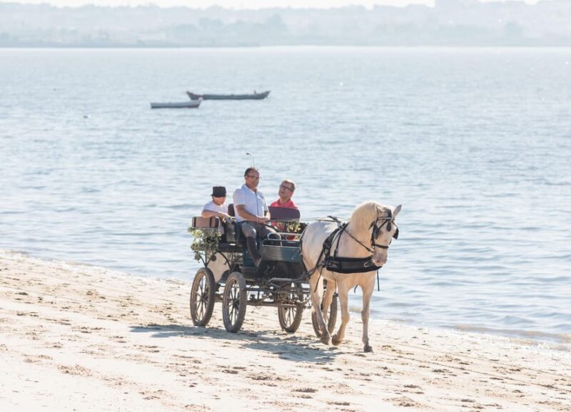 CARRIAGE Ride On The Beach (Rosário Beach) - Who Would Love This Experience?