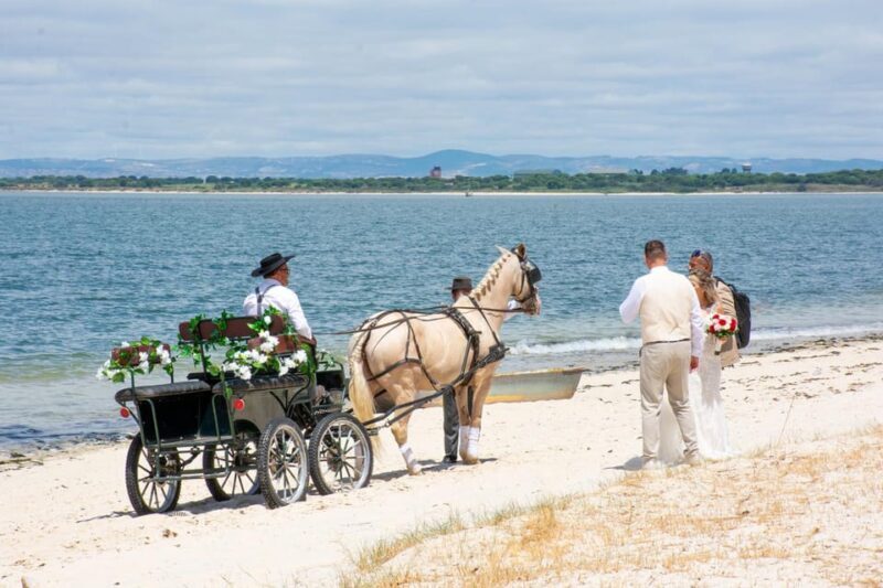CARRIAGE Ride On The Beach (Rosário Beach) - Frequently Asked Questions