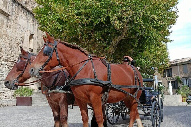 Carriage rides in the heart of the Luberon - Who should consider booking?