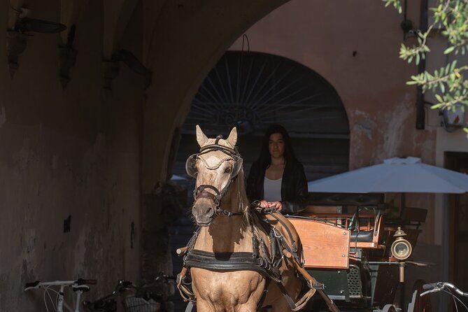 Carriage tour in the historic center of Lucca - What’s Included?