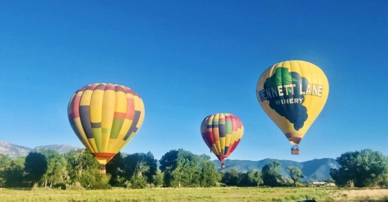 Carson City: Hot Air Balloon Flight - Learning from the Pilot