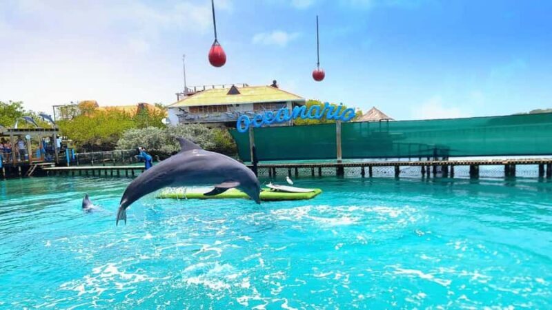 CARTAGENA: 4 islands by sport boat +oceanarium tickets - Key Points