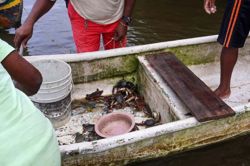 Cartagena: Artisanal fishing through the mangroves - An In-Depth Look at the Experience