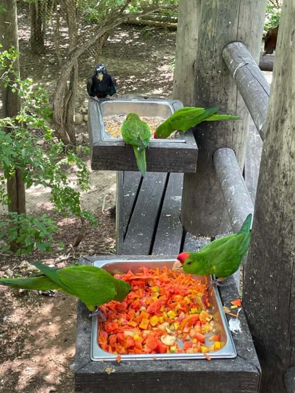 Cartagena: Aviary National Park Tour with Hotel Pickup - Cartagena: Aviary National Park Tour with Hotel Pickup — A Detailed Review
