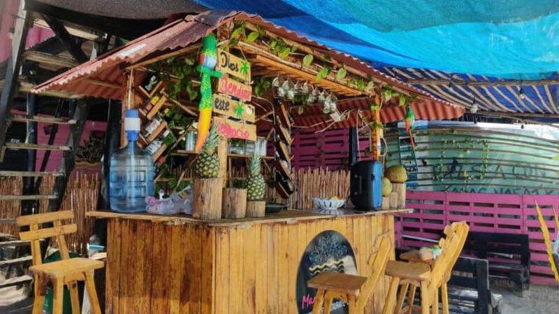 Cartagena: Baru Beach Day Trip with Bioluminescent Plankton - Who Will Love This Tour?