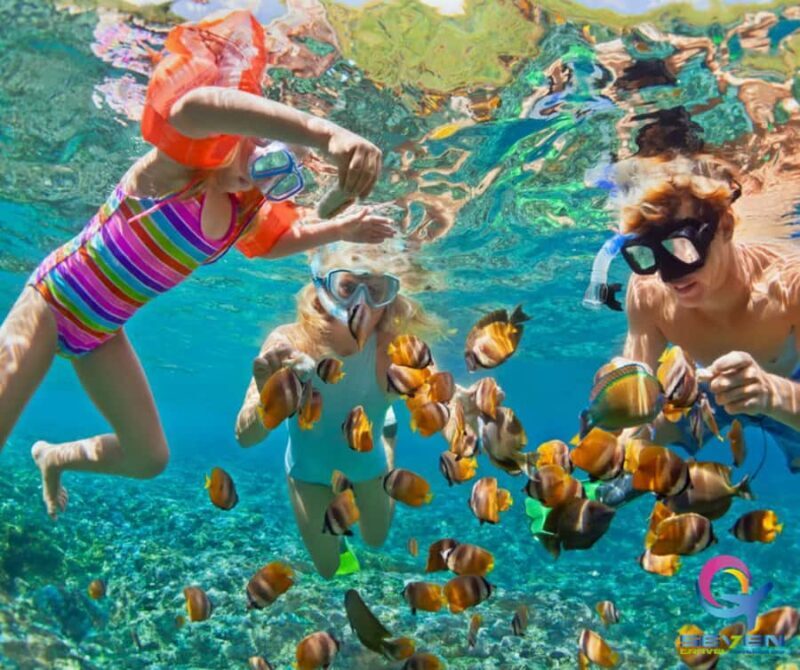 Cartagena: BARÚ Playa blanca with SNORKELING INCLUDED - Experience the Beauty of Baru Playa Blanca with Snorkeling Included