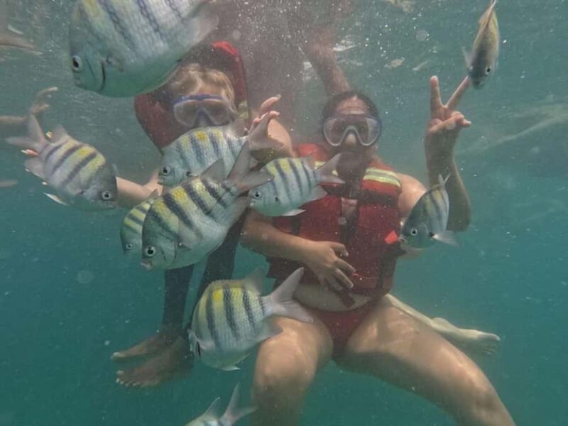 Cartagena: BARÚ Playa blanca with SNORKELING INCLUDED - What Makes This Tour Stand Out?