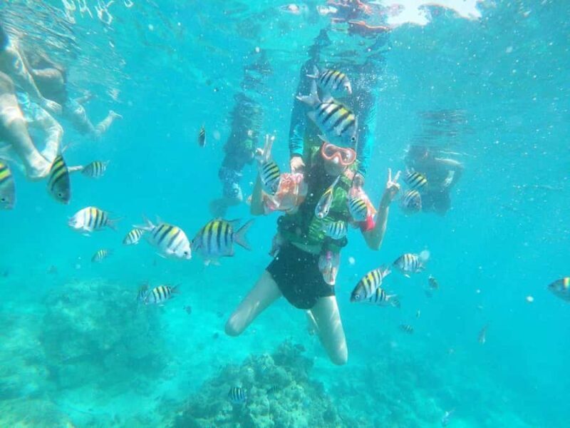 Cartagena: BARÚ Playa blanca with SNORKELING INCLUDED - Final Thoughts: Is This the Right Tour for You?