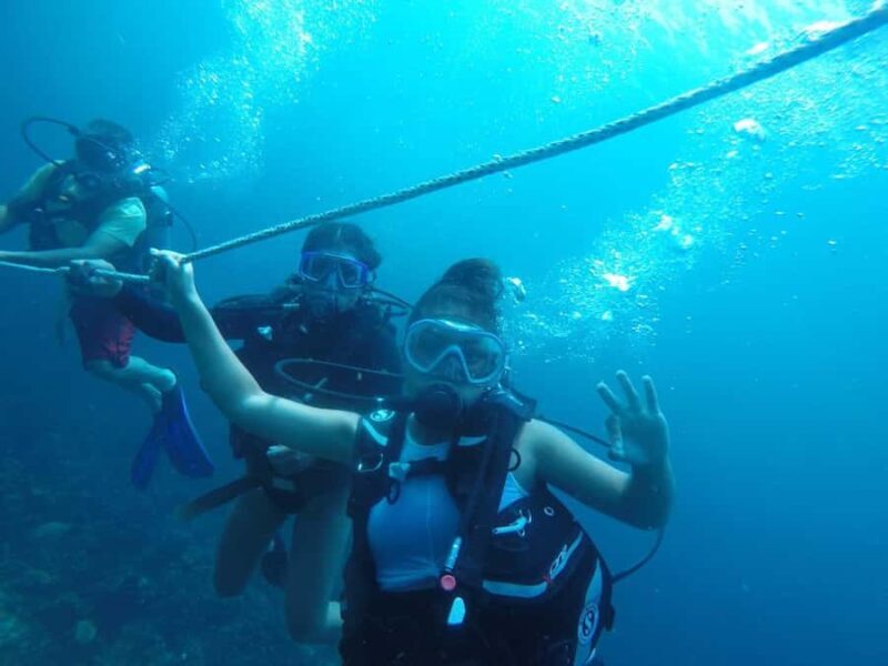 Cartagena: Basic Diving for beginners in Rosario Islands - Cartagena: Basic Diving for Beginners in Rosario Islands