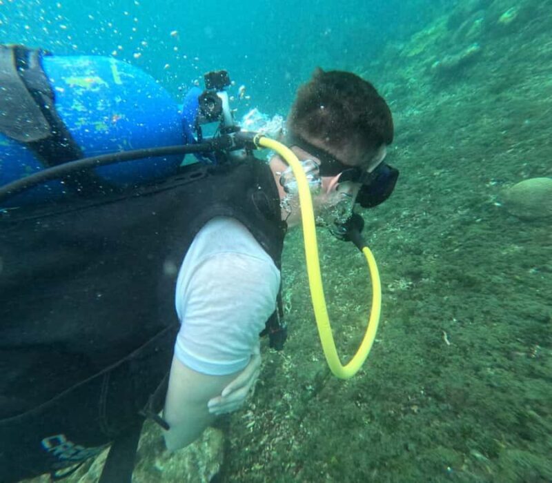 Cartagena: Basic Diving for beginners in Rosario Islands - Key Points