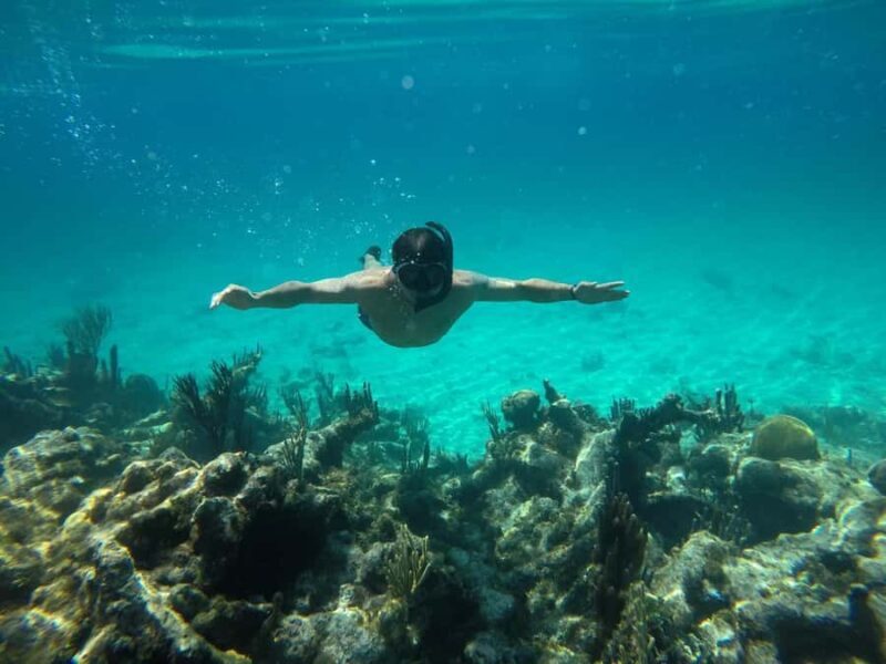 Cartagena: Basic Diving for beginners in Rosario Islands - The Itinerary in Detail