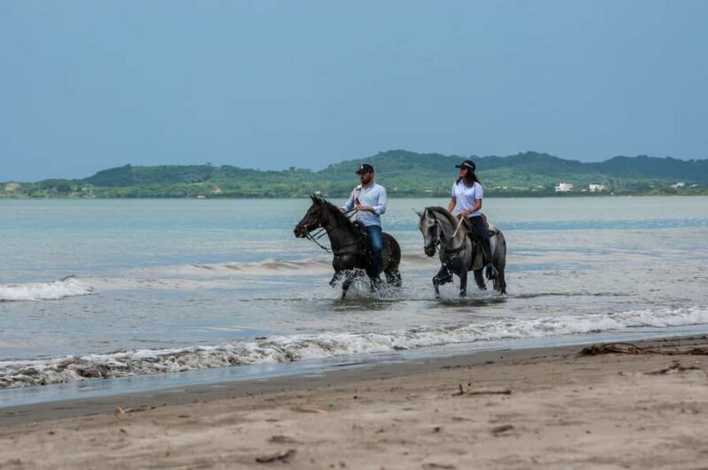 Cartagena: Beach Horse Ride and Colombian Horse Culture - Final Thoughts: Is It Worth It?