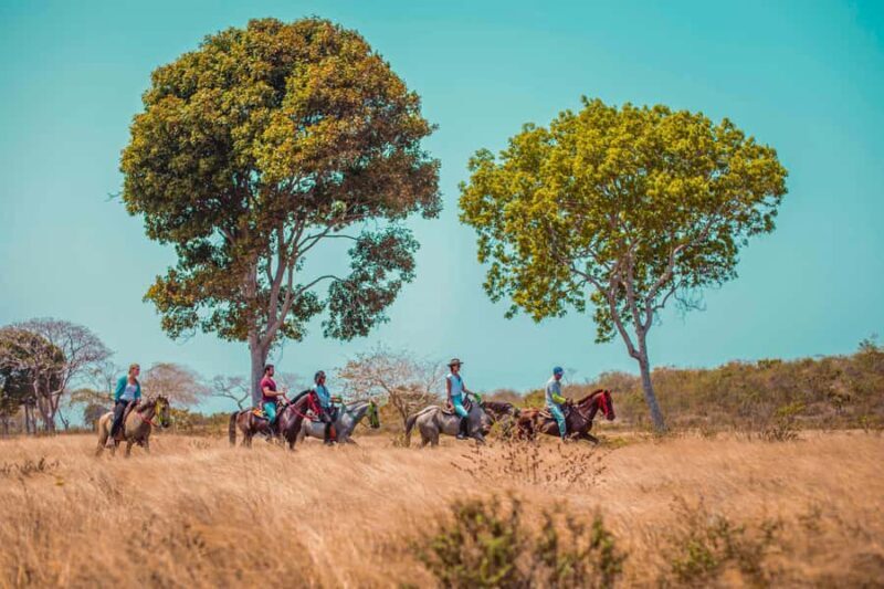 Cartagena, Blue Apple Beach, Horse Treks - Why This Tour Offers Good Value