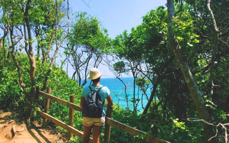 Cartagena: Cabo San Juan Beach and Tayrona Natural Park Tour - Practical Tips for Making the Most of Your Trip