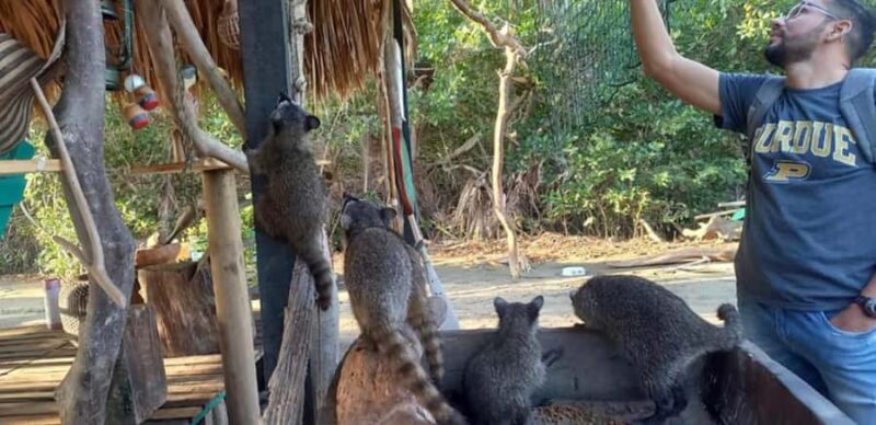 Cartagena: Canoe Tour through Mangroves - Exploring Cartagena’s Mangrove Canoe Tour: A Quiet Escape into Nature