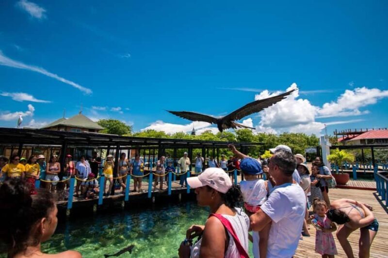 Cartagena: Cholon Island, Playa Blanca and Luminous Plankton - Key Points