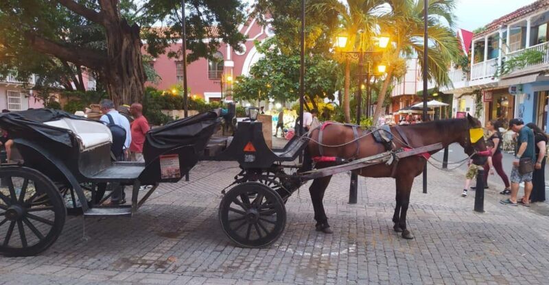 Cartagena: COLLONIAL HORSE DRAWN CARRIAGE by THE OLD CITY - The Sum Up
