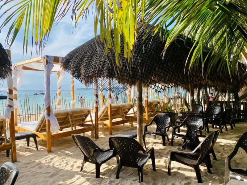 Cartagena: Day Trip Aviary and enjoy Playa Blanca by bus - The Sum Up