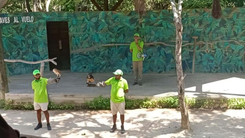 Cartagena: Daytour Aviary and Playa blanca, Barú by bus! - Final Thoughts