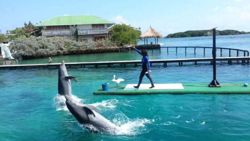 Cartagena de Indias: Pasadia 5 Islas del rosario and Baru boat trip - Deep Dive Into the Itinerary and Experience