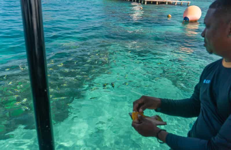 Cartagena: Ecoplan on Barú, Aviary and Oceanarium in one day - Practical Details and What to Expect