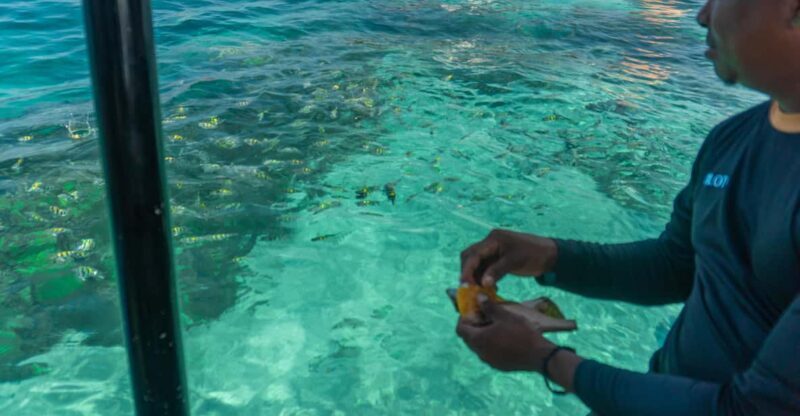 Cartagena: Ecoplan on Barú, Aviary and Oceanarium in one day - Final Thoughts