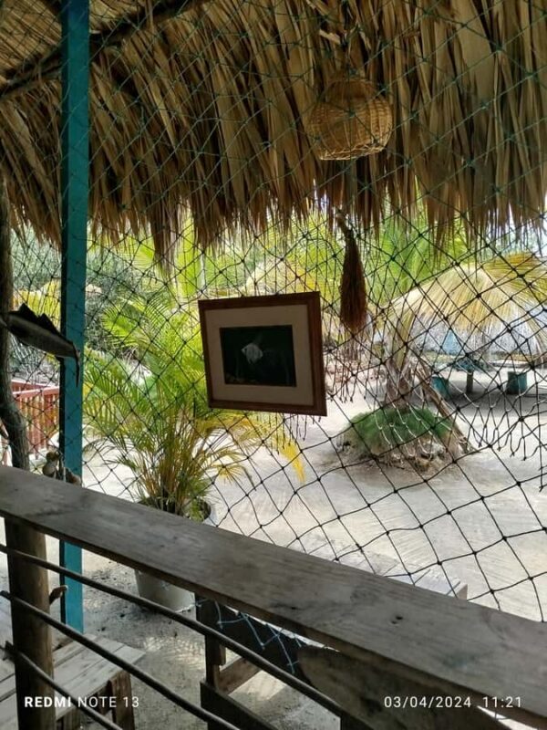 Cartagena: FISHERMEN'S ISLAND IN THE MANGROVES by canoe - Key Points