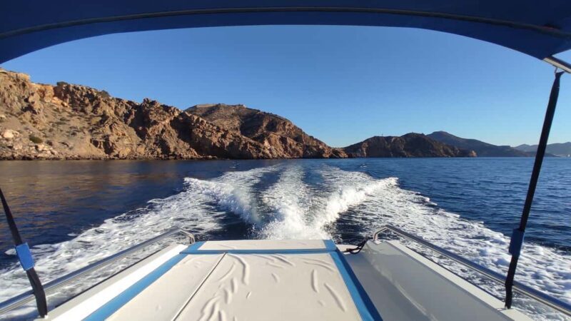 Cartagena: Guided boat tour to Isla de las Palomas - What Makes This Tour Special?