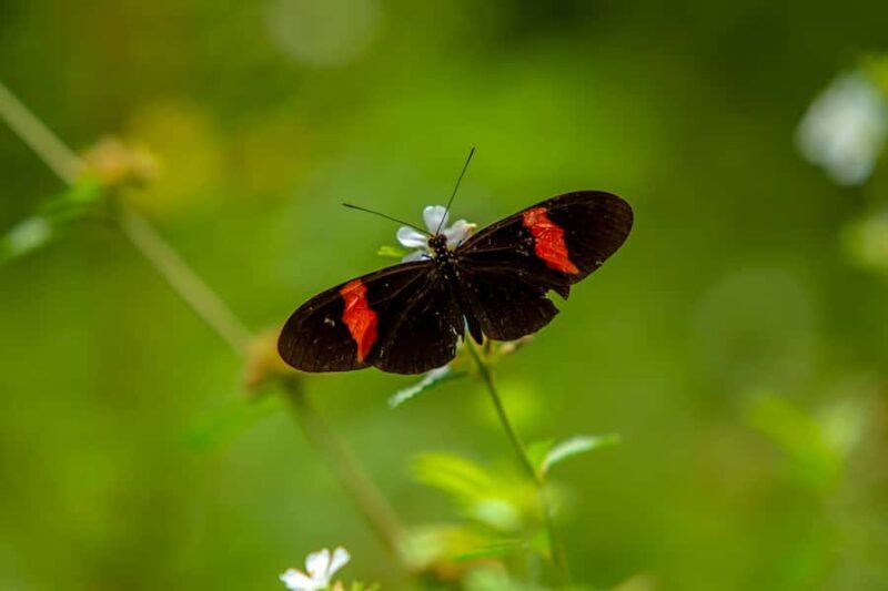 Cartagena: Guided Hiking Tour - Exploring the Details: What to Expect on This Guided Hiking Tour