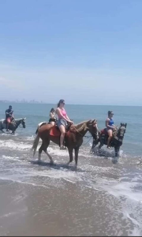 Cartagena: Horse Riding on the Beach with Photos and Lunch - Key Points