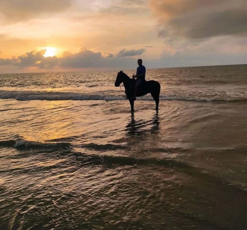 Cartagena: Horseback Ridding Excursion on the Beach - Key Points