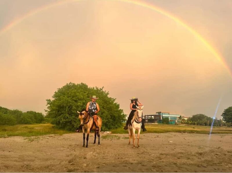 Cartagena: Horseback Ridding Excursion on the Beach - A Deep Dive into the Experience